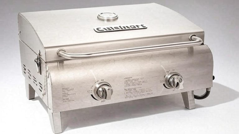 Best 2-Burner Propane Grills