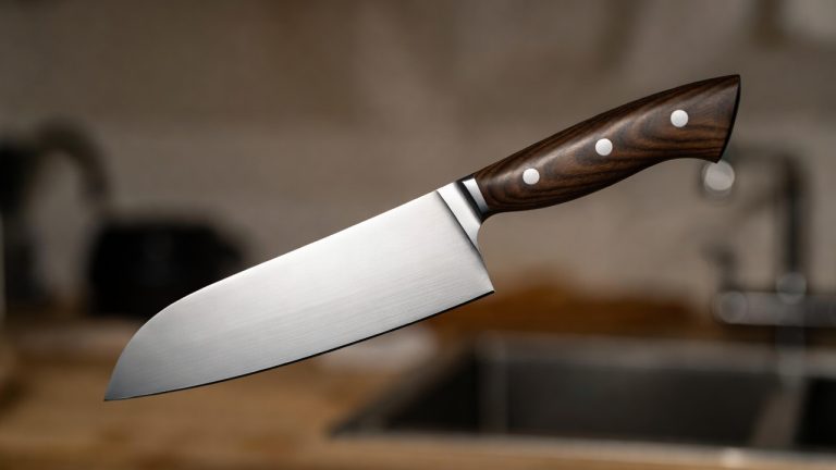 Best Professional Chef's Knife