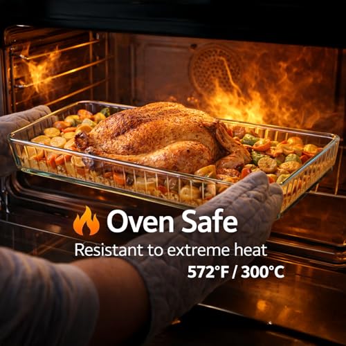 Large Glass Baking Dishes For Oven