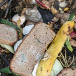 Can You Put Bread In The Compost