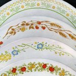 Can Corelle Plates Go In The Oven