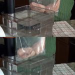 Can You Sous Vide With Ziploc Bags