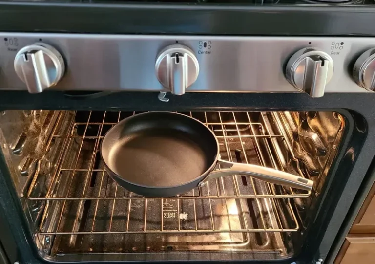 Can You Put A Frying Pan In The Oven